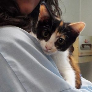 Picture of Thelma