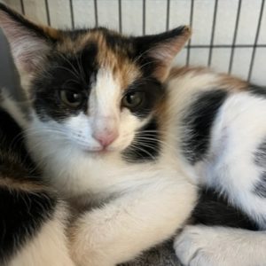 Picture of Louise