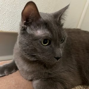 Picture of Sebastian