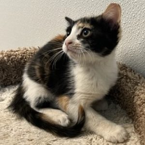 Picture of Thelma