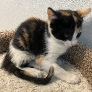 Picture of Thelma
