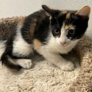 Picture of Thelma