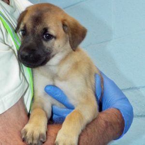Picture of Cloud