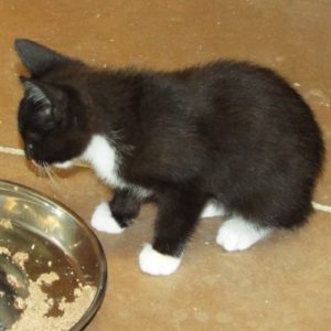 Picture of Delilah