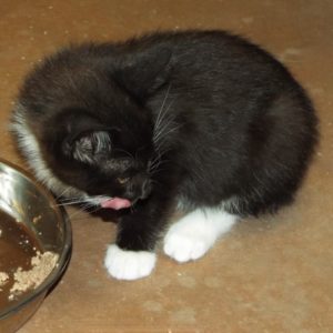 Picture of Delilah