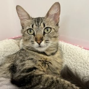 Picture of Eegee