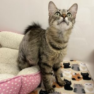 Picture of Eegee