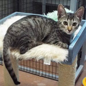 Picture of Kilo