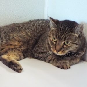 Picture of Mia