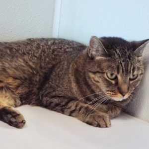Picture of Mia