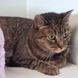 Picture of Mia