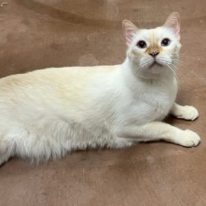 Picture of Rusty Joe