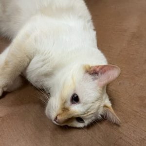 Picture of Rusty Joe