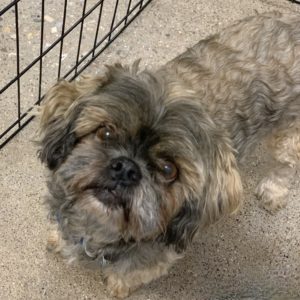 Picture of Tina