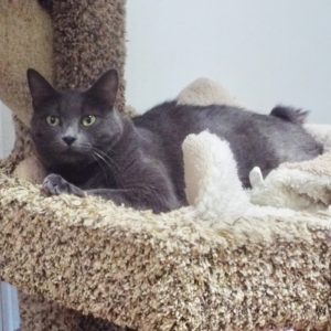 Picture of Yeti