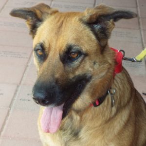 Picture of Daisy Maisy