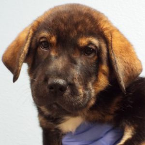Picture of Lillian