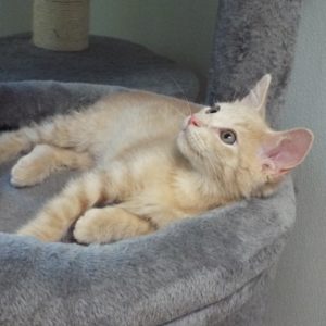 Picture of Slugger