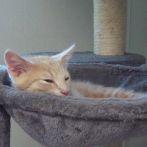 Picture of Slugger