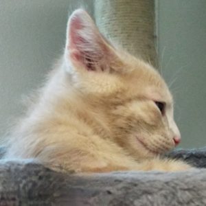 Picture of Slugger