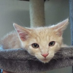 Picture of Slugger