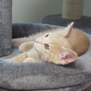 Picture of Slugger