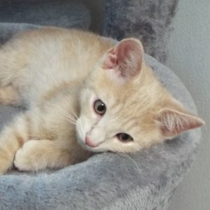 Picture of Slugger
