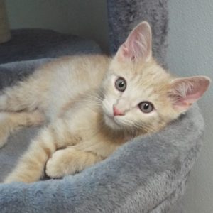 Picture of Slugger