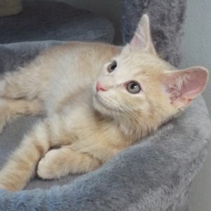 Picture of Slugger