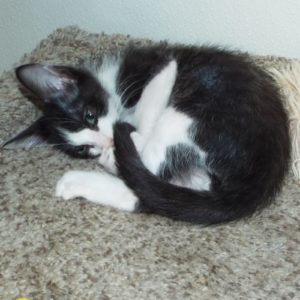 Picture of St. Vinny