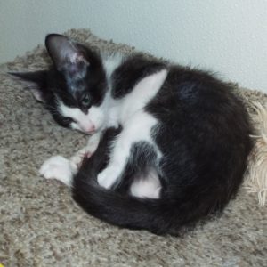 Picture of St. Vinny