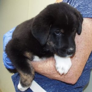 Picture of Susie