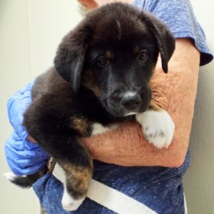 Picture of Susie