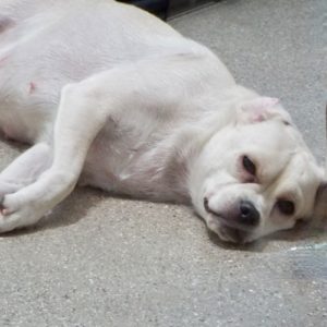 Picture of Wednesday