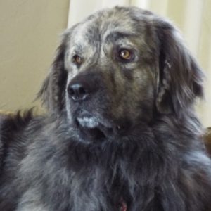 Picture of Andi
