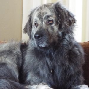 Picture of Andi