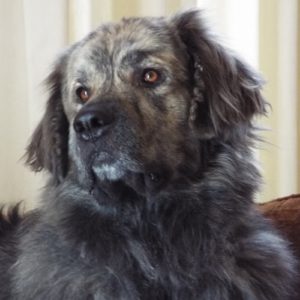 Picture of Andi