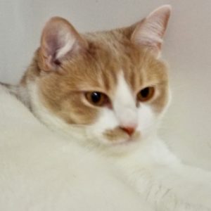 Picture of Claire
