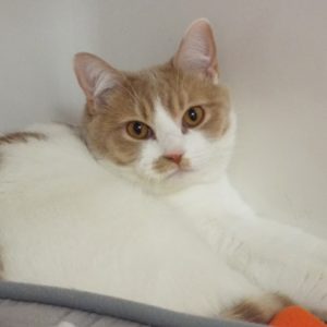 Picture of Claire