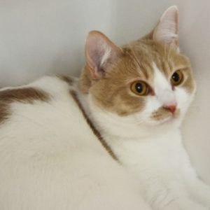 Picture of Claire