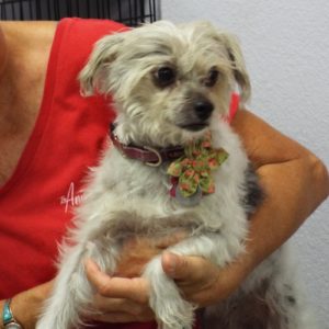 Picture of Daisy Mae