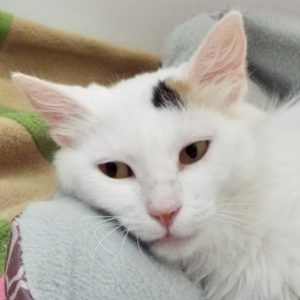 Picture of Jessica