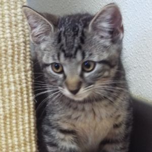 Picture of Billy