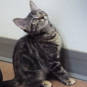 Picture of Billy