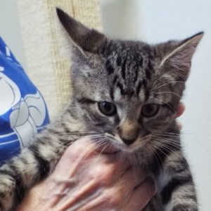 Picture of Billy