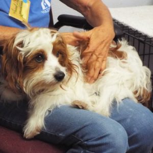 Picture of Fritz