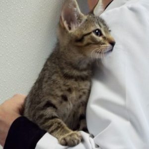 Picture of Freddie