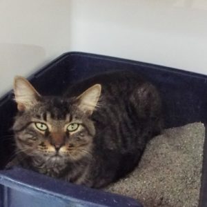 Picture of Hugo