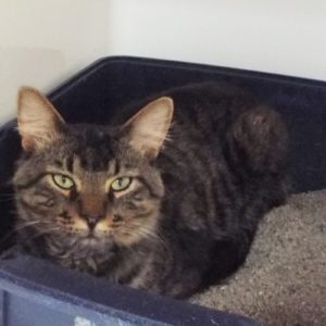 Picture of Hugo