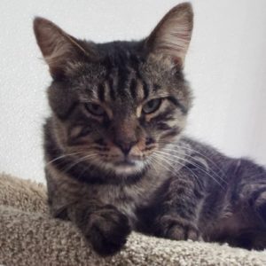 Picture of Hugo